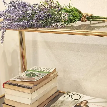 Affittacamere Orleans Barcellona