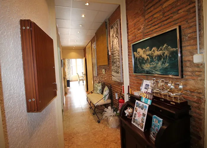 Orleans בית הארחה 2*