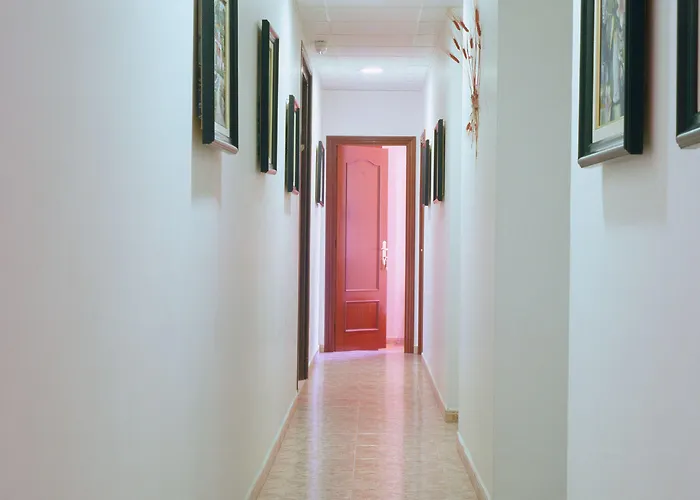 Orleans ברצלונה